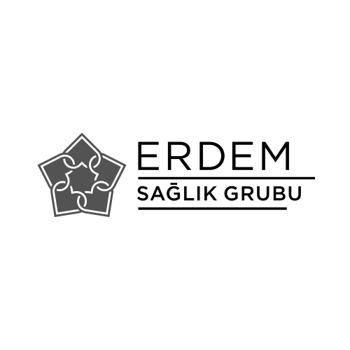 Erdem logo